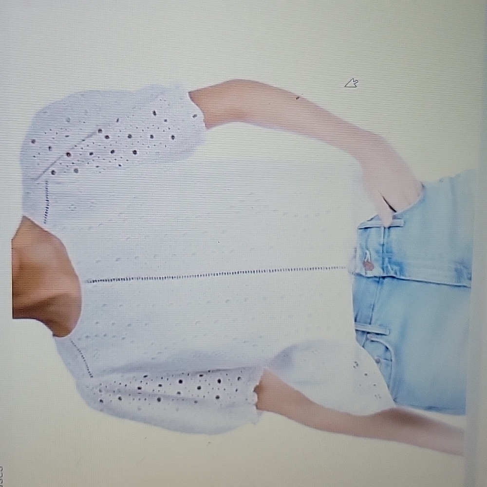 Parker white ivory eyelet lace short puff sleeve lined top NEW $278 size…Lg New
